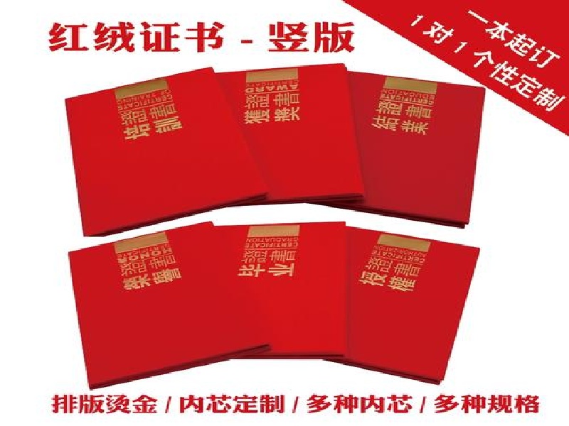 机构介绍